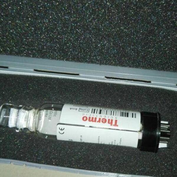 赛默飞热电元素灯Cr94233902024V