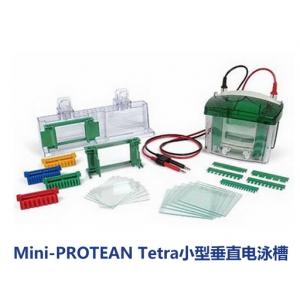 美国 Bio-Rad 伯乐垂直电泳槽Mini-PROTEAN Tetra Cell